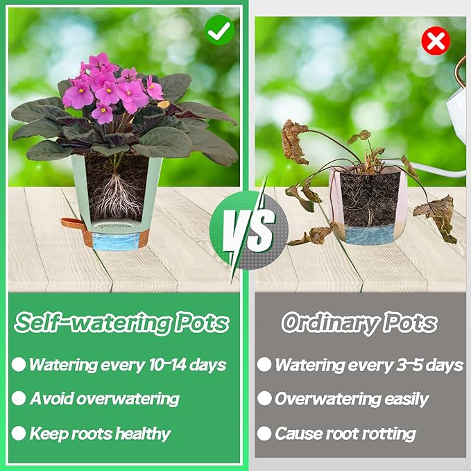 5in Self Watering Pots for Indoor Plants - 3pcs Bottom Watering African Violet Planters with Drainage, Plastic Houseplant Flower Pots for Venus Fly Trap Snake Plant Succulent Garden Live Plants