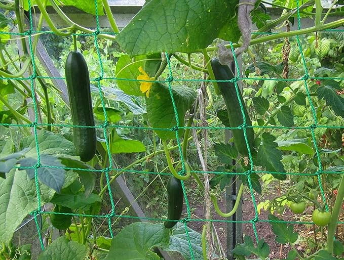 Trellis Netting for Climbing Plants - Heavy Duty Garden Trellis Netting for Cucumber, Vine, Fruits & Vegetables Tomato Plants Trellis Net, Climbing Vining Plants (1-Pack 32.8' x 6.6'Ft)