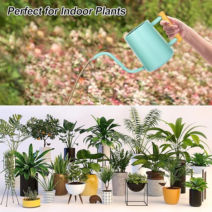 Watering Can Indoor Plants, 35 oz/1000 ml Metal Stainless Steel Watering Can Pot with Long Spout for Indoor House Plants Bonsai Outdoor Garden Flower Decorative (Green