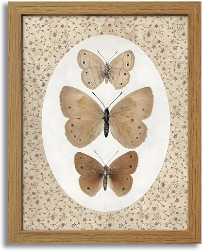 CXQILVER Vintage Framed Butterfly Canvas Wall Art,Natural Insect Illustration Prints Wall Decor, Antique Rustic Cottagecore Farmhouse Picture Painting Artwork for Bedroom Bathroom Living Room 12x16in