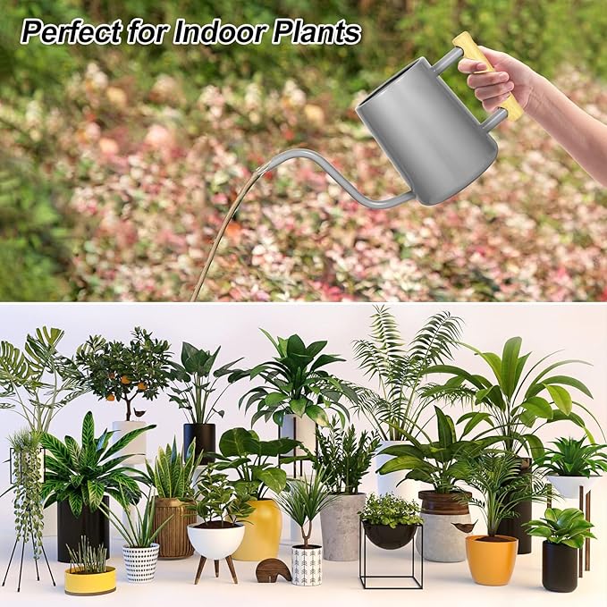 Watering Can Indoor Plants, 35 oz/1000 ml Metal Stainless Steel Watering Can Pot with Long Spout for Indoor House Plants Bonsai Outdoor Garden Flower Decorative (Gray)