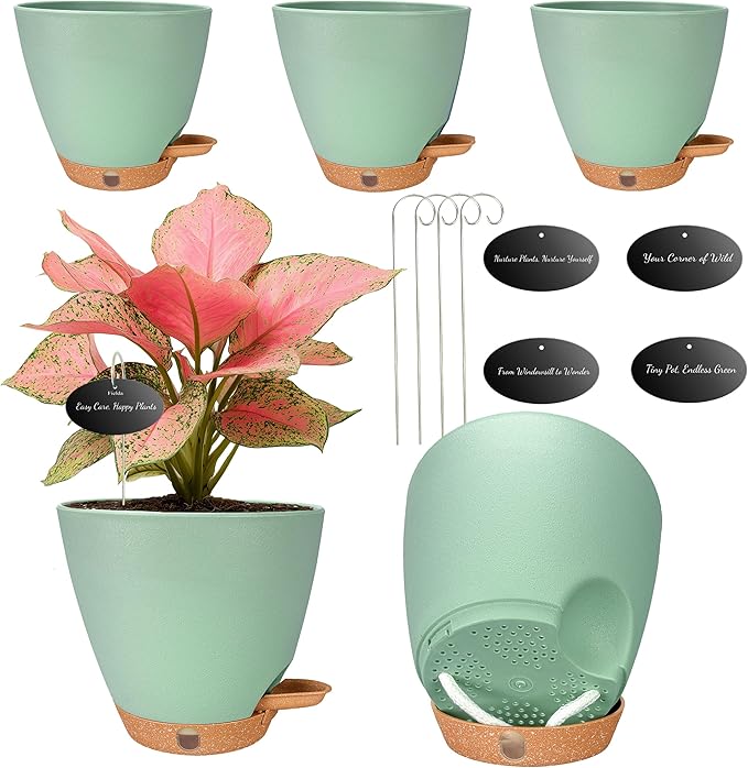6 Inch Self Watering Pots for Indoor Plants (5-Pack) – Small Plastic Planters with Water Window, Drainage Holes & Trays, Indoor Outdoor Flower Pots for Herbs, Succulents, Home Garden Decor (Green)