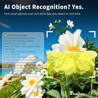 Innovative Smart Glasses,2026 Cutting-Edge AI HD Camera Glasses,AI Voice Assistant,Object Recognition,100+ Languages Real-time Translation,Support Video Photo Music Calling,Wearable Tech for Men Women