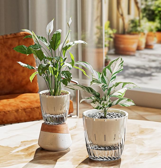 Self Watering Planters - 2 Pack, 6 Inch Transparent Flower Pots for Indoor Plants, Perfect for African Violet, Monstera, Succulents, Herbs & Decorative Flowers