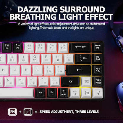 Guiheng Wired Portable 60% Mechanical Gaming Keyboard,RGB LED Backlit Compact 68 Keys Mini Wired Office Keyboard with Red Switch for Windows Laptop PC Mac - White