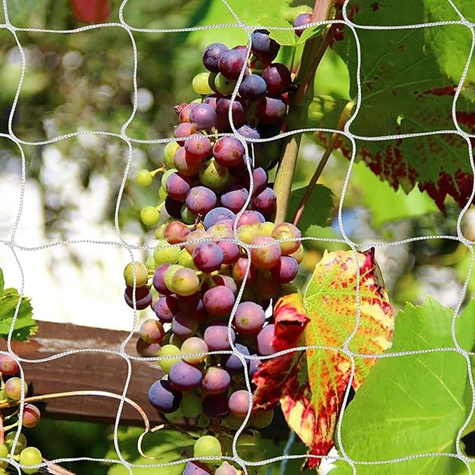 Tcamp Trellis Netting for Plants (5Ft x30Ft, 3.5" Square Mesh Ployester, 2Pack)