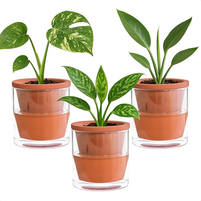 D'vine Dev 4 Inch Design Self Watering Pot for Indoor Plants, Terracotta Planter with Cylinder Glass Cup, Set of 3, 37-Z-A-1-T