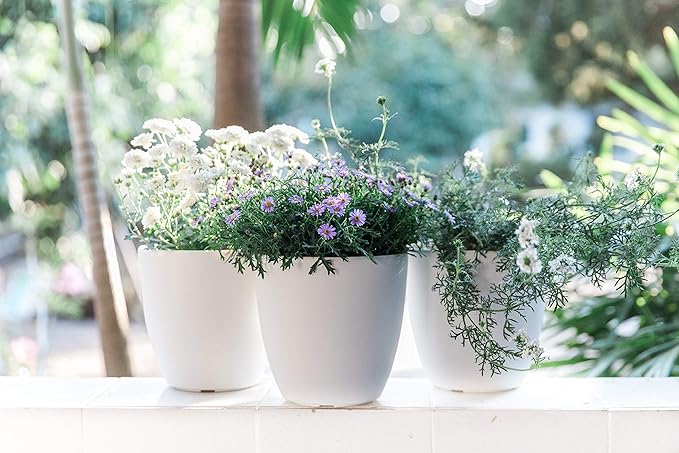 GARDENIX DECOR Self Watering Pots for Indoor Plants 3 Pack - Flower Pot with Water Level Indicator for Plants, Grow Tracking Tool - Self Watering Planter Plant Pot - Coco Coir - White