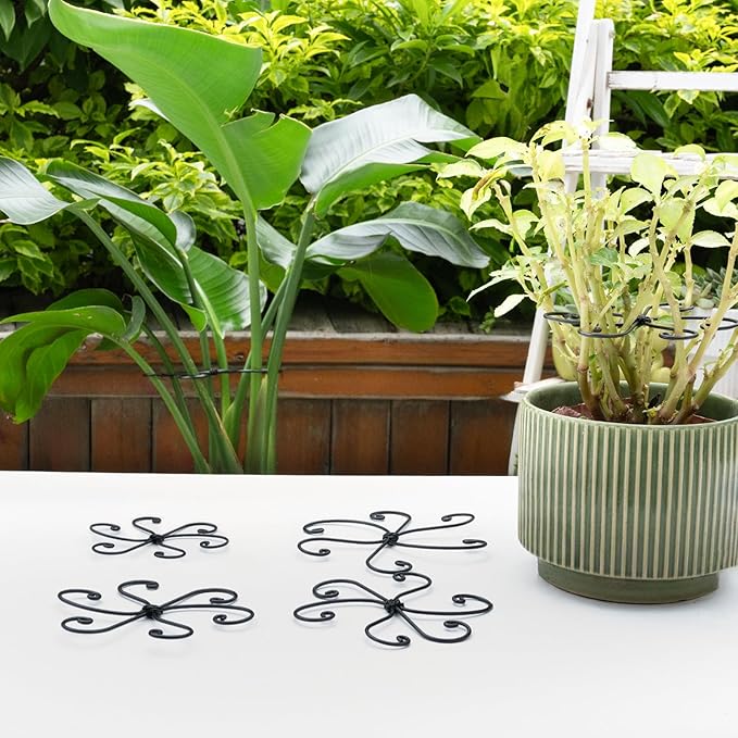 Black Monstera Plant Support Hook - 6.5 * 6.5IN -5 Piece Set, Durable Metal Stem Supports for Indoor Plants, Leaf Holder & Fishbone Cactus Stake, Stylish Design for Healthy Growth & Easy Care
