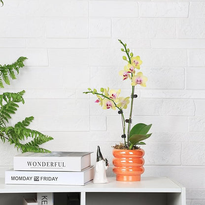 4.1 inch 4 pcs Ceramic Plant Pots for Indoor Plants, Rainbow Pearl Glaze Planter with Planters for Plants with Drainage Hole, Orchid Pots, Succulent Pot, Small Flower Pot (Orange)