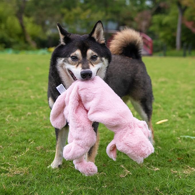 Best Pet Supplies Squeaky Dog Toys with Soft Durable Fabric for Small, Medium and Large Pets Interactive Toy for Indoor Play, Supports Active Biting and Play - 1Wild Duck, Pig, Medium
