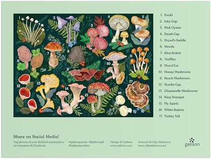 Galison World of Mushrooms – 1000 Piece Jigsaw Puzzle Featuring Beautiful Painted Artwork of A Mushroom and Fungi Collection