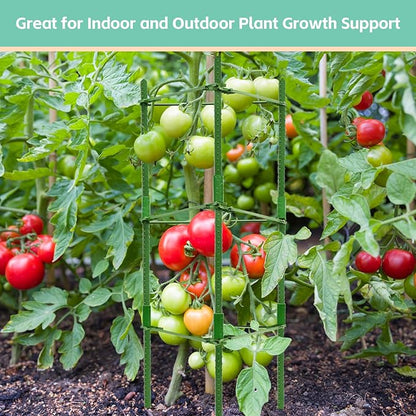 Riare 2 Pack 4 FT Tomato Cages for Garden- 48inches Heavy Duty Garden Stakes, Adjustable Tall Tomato Plant Support Tomato Trellis Cage for Pots, Raised Garden Bed, Climbing Vegetables Plants Flowers