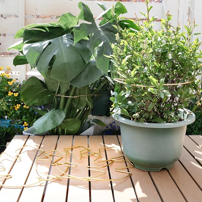 5PCS Monstera Plant Stem Support with Leaf Holders - Innovative Cactus Stake for Indoor Plants - Unique Plant Support Kit for Healthy Growth - Ideal for Gardening Enthusiasts