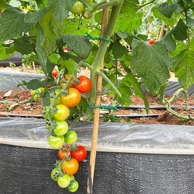 Tenn Well Green Plant Ties, 32 Feet 5mm Soft Garden Wire Ties for Tomato Plants, Climbing Roses and Cucumbers (2PCS X 16 Feet)