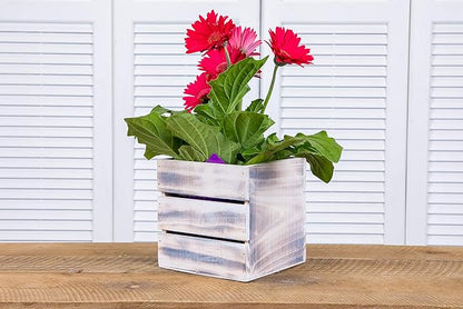 Wood Planter Box with Wine Crate Styled, 5 Inch Square, Whitewash, Plastic Liner, Garden Centerpiece Display, Wedding Flowers Holder, Home and Venue Decor (5x5 Wine Crate Set of 4, Whitewash)