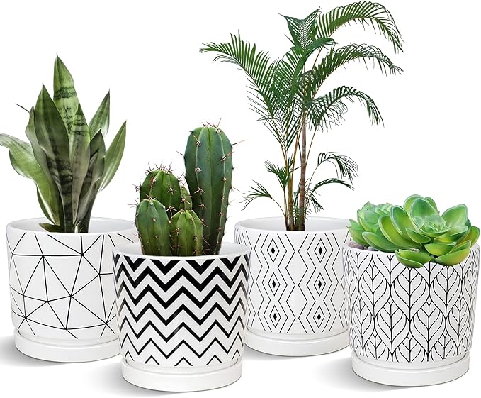 Ton Sin Plant Pots,5.5 Inch White Pots for Indoor Plants with Drainage Holes,Cylinder Flower Pot Ceramic Planters with Saucer,Cactus Succulent Outdoor Garden Pots Set of 4