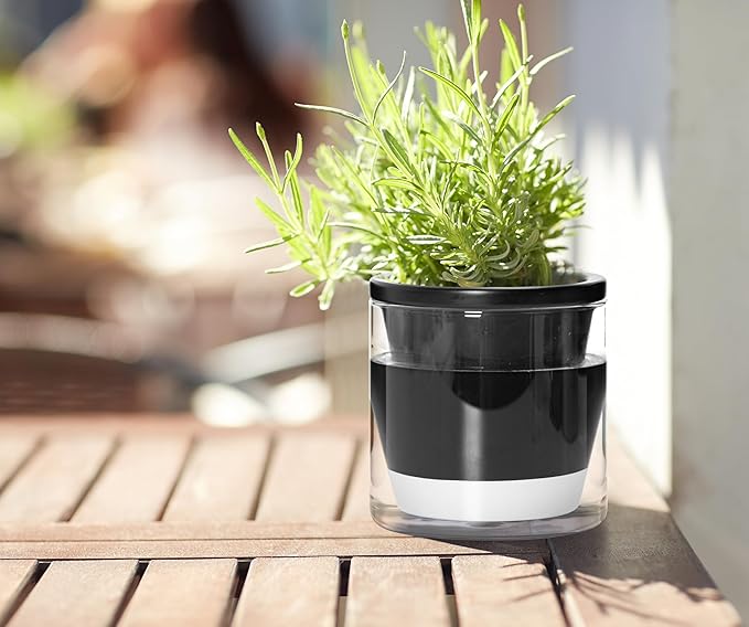 D'vine Dev 4 Inch Design Self Watering Planter for Indoor Plants, Black Terracotta Pot with Cylinder Glass Cup, Set of 3, 37-Z-A-3-T