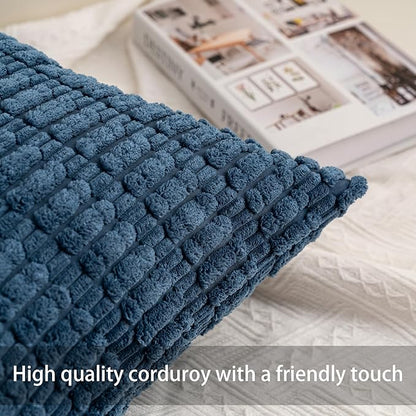 Aegero Pack of 2 Corduroy Decorative Throw Pillow Covers 16x16 Inch Soft Striped Pillow Covers Modern Farmhouse Home Decor for Sofa Living Room Couch Bed（Sky Blue）