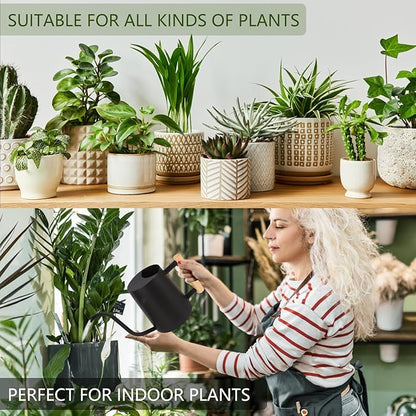 Plant Watering Can,35oz Metal Watering Can,Stainless Steel Indoor Plants with Long Curved Spout,Small Bonsai Outdoor Garden Modern Decorative(Black)