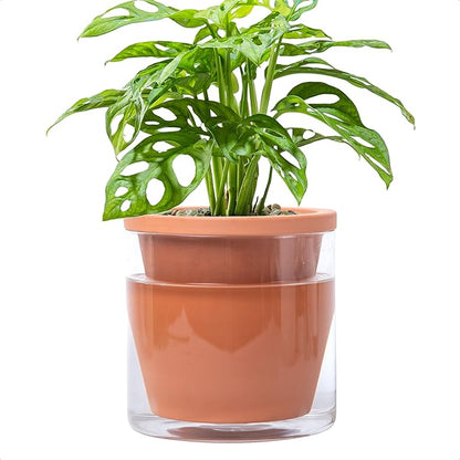 D'vine Dev 6 Inch Design Self Watering Pot for Indoor Plants, Terracotta Planter with Cylinder Glass Cup, 37-X-B-1