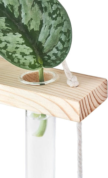 Mkono 3 Tiered Wall Hanging Plant Terrarium with Wooden Stand, Glass Planter for Hydroponic Plant Cutting, Home Garden Office Decor, Gift