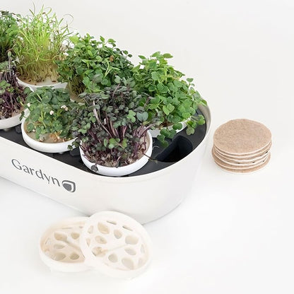 GARDYN Complete Microgreens Growing Kit - Indoor Herb Garden - Indoor Hydroponics Growing System Kit Nursery Seed Starter Tray, 20 Seed Pads, Bamboo Wicks,10 Grow Plates
