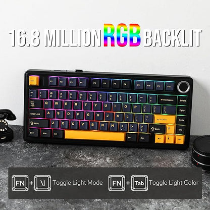EPOMAKER x Aula F75 Gasket Mechanical Keyboard, 75% Wireless Hot Swappable Gaming Keyboard with Five-Layer Padding&Knob, BT/2.4GHz/USB-C, RGB (Black, Ice Vein Switch)
