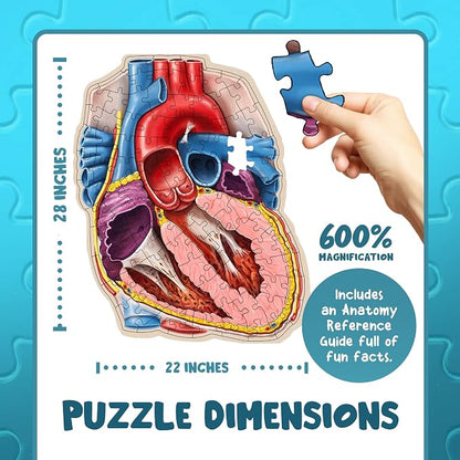 Human Heart Anatomy Floor Puzzle — Genius Games Doctor Livingston Jr Anatomy Toy - Kids Puzzles & Science Toys - Human Heart Model - 100 Piece Jigsaw Puzzles for Kids, Toddlers, Teens