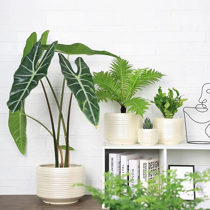 10 Inch Ceramic Plant Pot with Drainage – Large Flower Pot for Indoor Outdoor Plants, Modern Decorative Planter for Patio, Balcony, Garden, or Home Decor