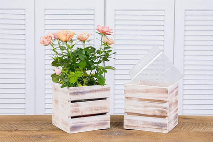 Wood Planter Box with Wine Crate Styled, 5 Inch Square, Whitewash, Plastic Liner, Garden Centerpiece Display, Wedding Flowers Holder, Home and Venue Decor (5x5 Wine Crate Set of 4, Whitewash)