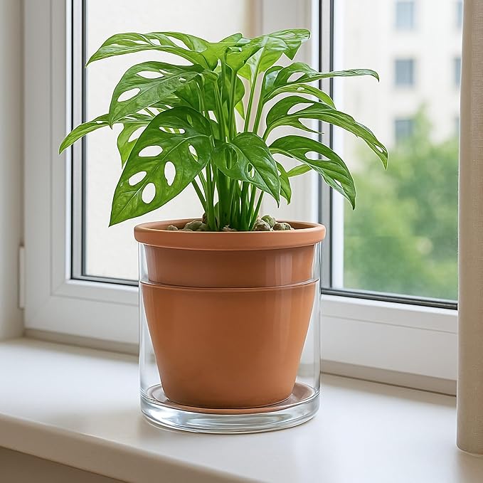 D'vine Dev 6 Inch Design Self Watering Pot for Indoor Plants, Terracotta Planter with Cylinder Glass Cup, 37-X-B-1