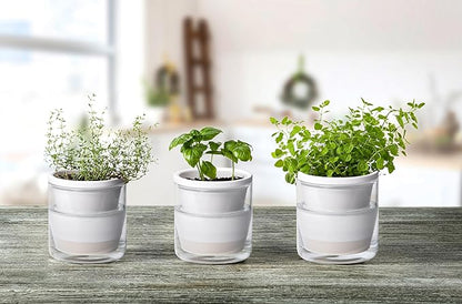 D'vine Dev 4 Inch Design Self Watering Planter for Indoor Plants, White Terracotta Pots with Cylinder Glass Cup, Set of 3, 37-Z-A-2-T