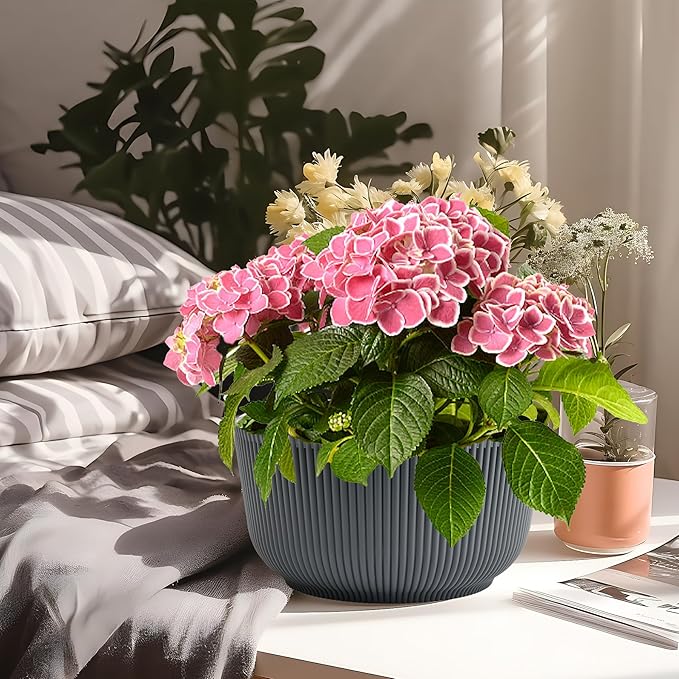 T4U 10 Inch Self Watering Pots for Indoor Plants, Plastic Plant Pots with Drainage Hole, Large Flower Pots for Indoor Outdoor Plants Cactus, Garden, Set of 2, Gray