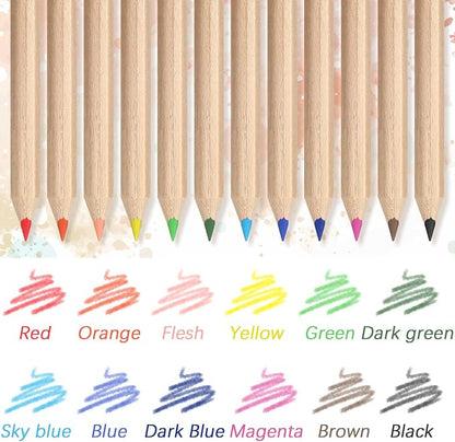 Sinload 150 Set Mini Colored Pencil Bulk for Kid 3.5in Colored Pencils for Coloring Drawing Bulk for Student Teacher 12 Color with Sharpener Eraser Back to School Classroom Party Favors Gifts
