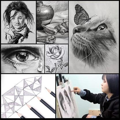 Heshengping Drawing Pencils Sketch Pencil Art Supplies Set for Adults beginners Professional Sketching Art Graphite Charcoal Blending Stump Pencils kit