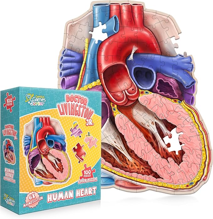 Human Heart Anatomy Floor Puzzle — Genius Games Doctor Livingston Jr Anatomy Toy - Kids Puzzles & Science Toys - Human Heart Model - 100 Piece Jigsaw Puzzles for Kids, Toddlers, Teens