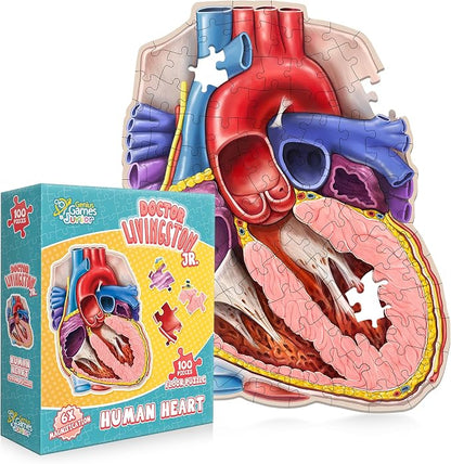 Human Heart Anatomy Floor Puzzle — Genius Games Doctor Livingston Jr Anatomy Toy - Kids Puzzles & Science Toys - Human Heart Model - 100 Piece Jigsaw Puzzles for Kids, Toddlers, Teens