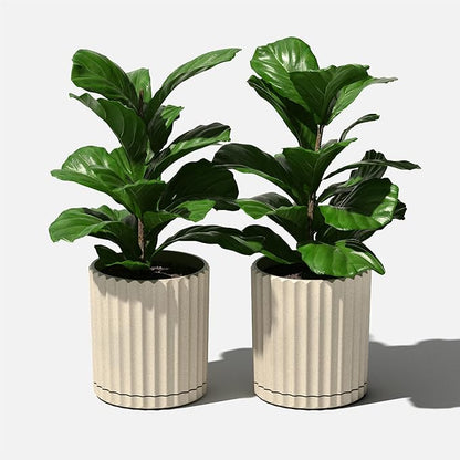 Veradek Demi Series Demi 6" Planter w/Tray - Sand, 2 Pack