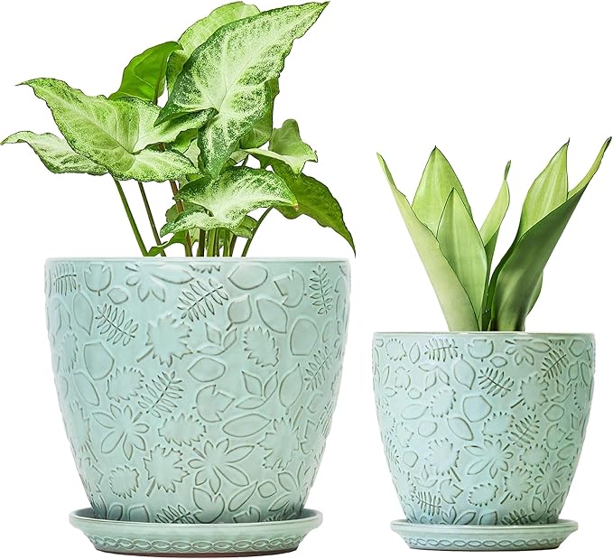 8 Inch + 6 Inch Plant Pots for Indoor Plants, Ceramic Planter with Drainage Hole and Saucers, Garden Pots for Succulent, Orchid, and Flower, Set of 2