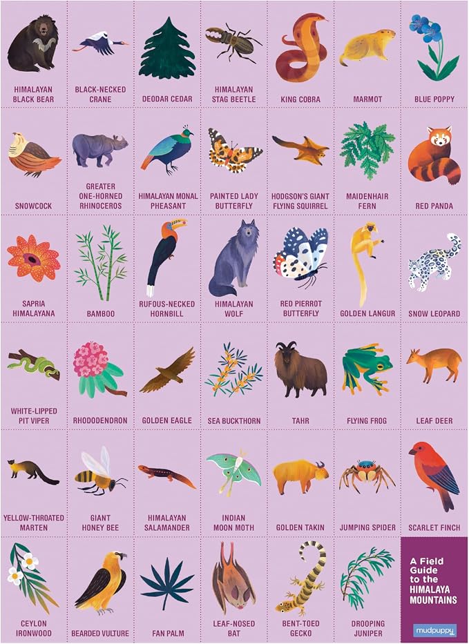 Mudpuppy in The Mountains — 64 Piece Search & Find Puzzle Jigsaw Puzzle Featuring Diverse Himalayan Mountain Animals and Over 40 Hidden Images to Find for Ages 4+