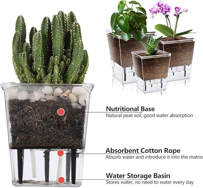 Self Watering Pots Set, 3 Pack 5/4.1/2.7 Inch Self Watering Pot for Indoor Plants, Clear Flowers Pot Planter with Deep Reservoir for Spider Plant, Orchid, African Violet