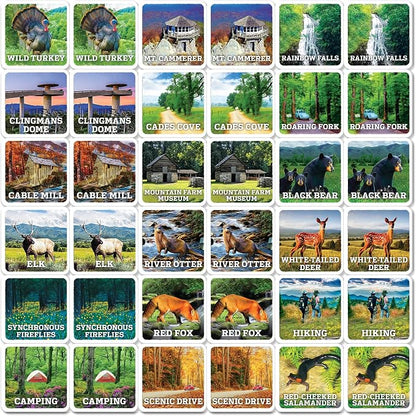 Masterpieces Officially Licensed National Parks Great Smoky Mountains Picture Matching Card Game for Kids and Families