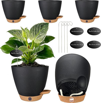 6 Inch Self Watering Pots for Indoor Plants (5-Pack) – Small Plastic Planters with Water Window, Drainage Holes & Trays, Indoor Outdoor Flower Pots for Herbs, Succulents, Home Garden Decor (Black)