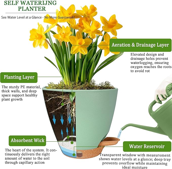 6 Inch Self Watering Pots for Indoor Plants (5-Pack) – Small Plastic Planters with Water Window, Drainage Holes & Trays, Indoor Outdoor Flower Pots for Herbs, Succulents, Home Garden Decor (Green)