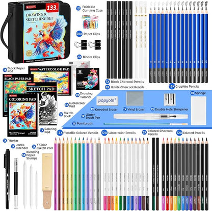 133 Pack Art Supplies Sketching Kit with Sketch Book, Coloring Book, Watercolor Pad, Black Paper Pad, Tutorial, Graphite Colored Charcoal Watercolor & Metallic Pencils for Artists Beginners Adults