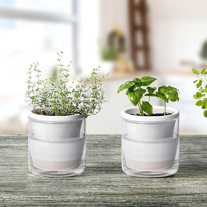 D'vine Dev 4 Inch Design Self Watering Planter for Indoor Plants, White Terracotta Pots with Cylinder Glass Cup, Set of 2, 37-Y-A-2
