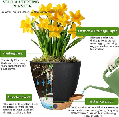 6 Inch Self Watering Pots for Indoor Plants (5-Pack) – Small Plastic Planters with Water Window, Drainage Holes & Trays, Indoor Outdoor Flower Pots for Herbs, Succulents, Home Garden Decor (Black)